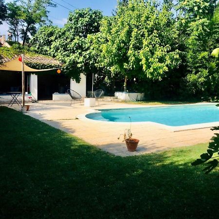 Studio Independant Terrasse Piscine Avignon Eksteriør billede